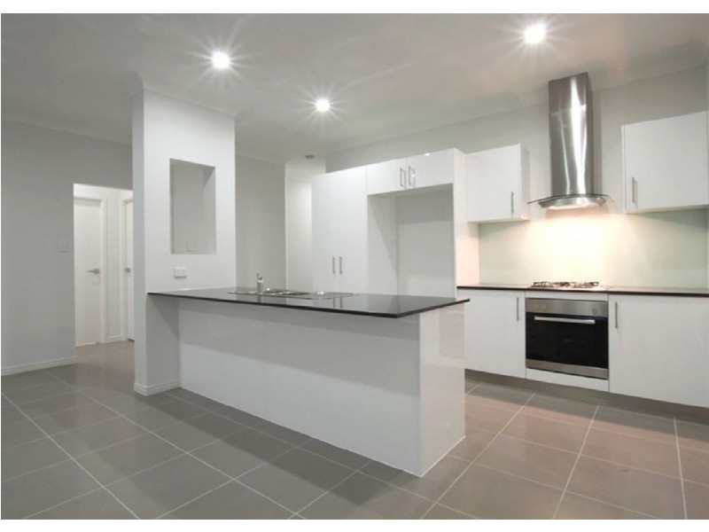 61 Griffith Street, Everton Park QLD 4053