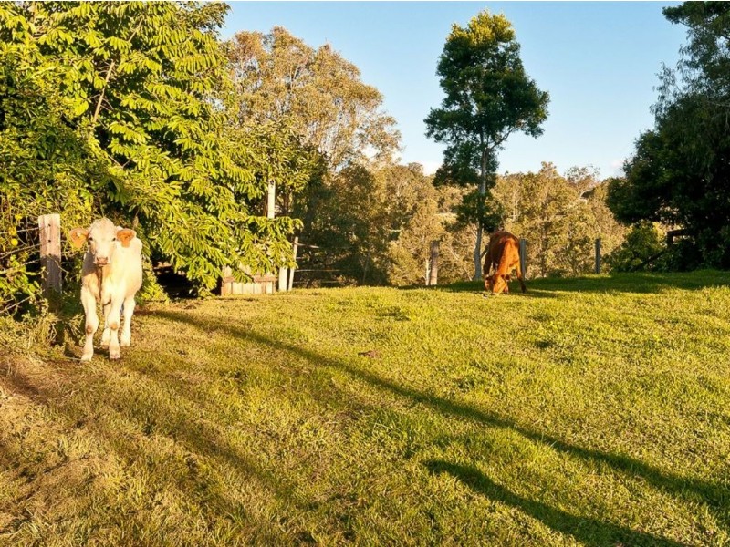 5 Benjamin Close, Samford Village QLD 4520