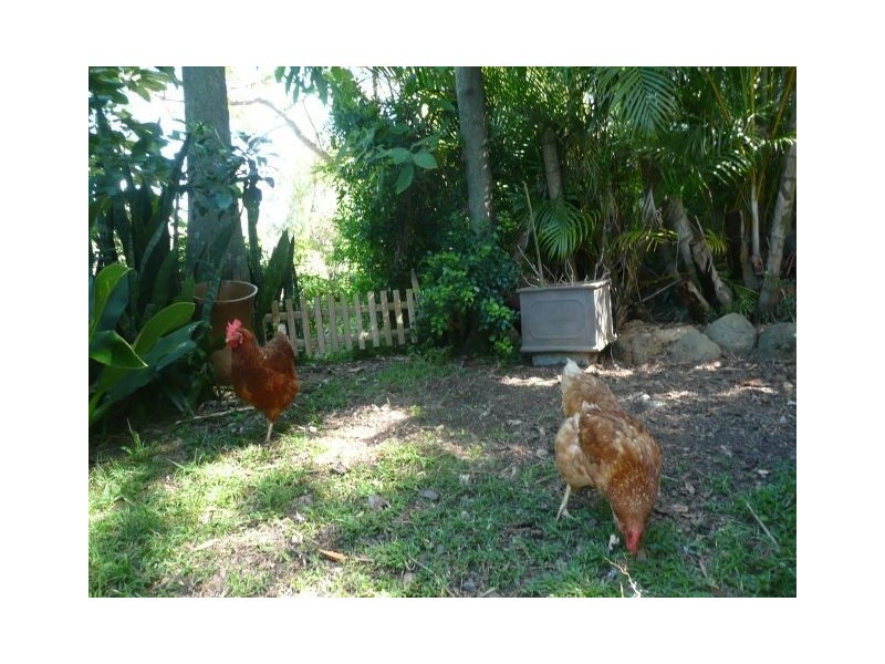 29 Lansdowne Street, Newmarket QLD 4051