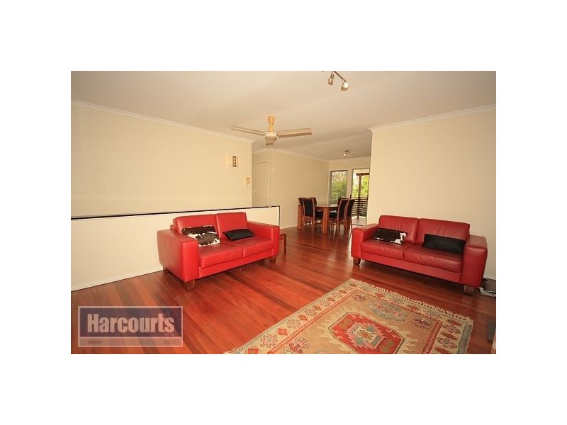 35 Cuphea Street, Arana Hills QLD 4054