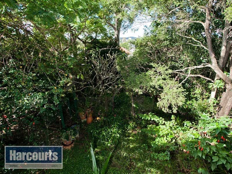 117 Grovely Terrace, Mitchelton QLD 4053