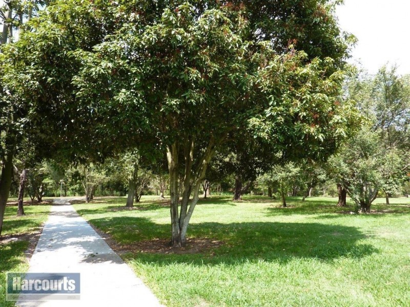 14 Somme Street, Ashgrove QLD 4060