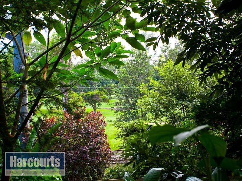 35 Avington Street, Keperra QLD 4054