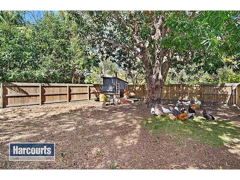 99 Fihelly Street, Keperra QLD 4054