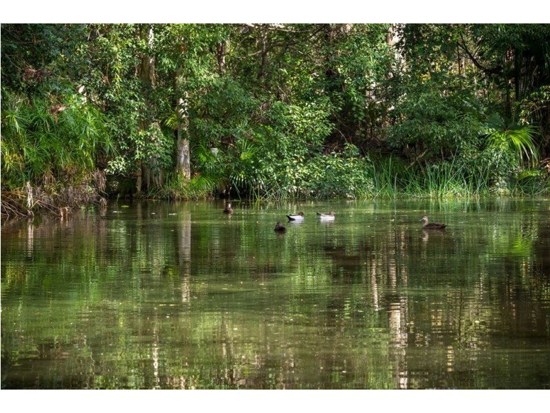 16 Henderson Road, Everton Hills QLD 4053