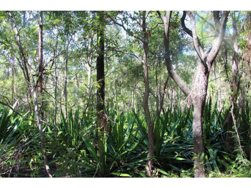 154 Queens Road, Everton Park QLD 4053