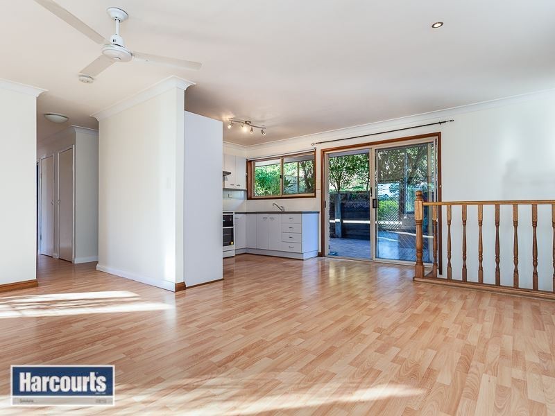 3 Double Bar Court, Arana Hills QLD 4054