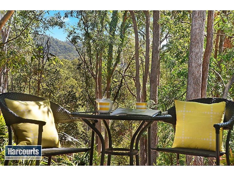 Ferny Grove QLD 4055