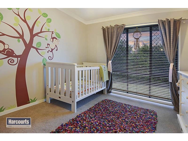 16 Cassinia Court, Eatons Hill QLD 4037