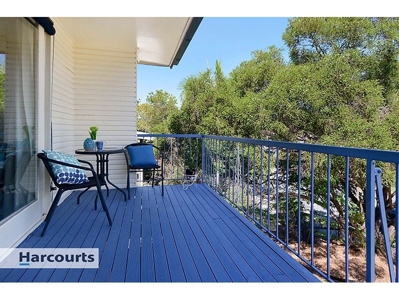 74 Camelia Avenue, Everton Hills QLD 4053