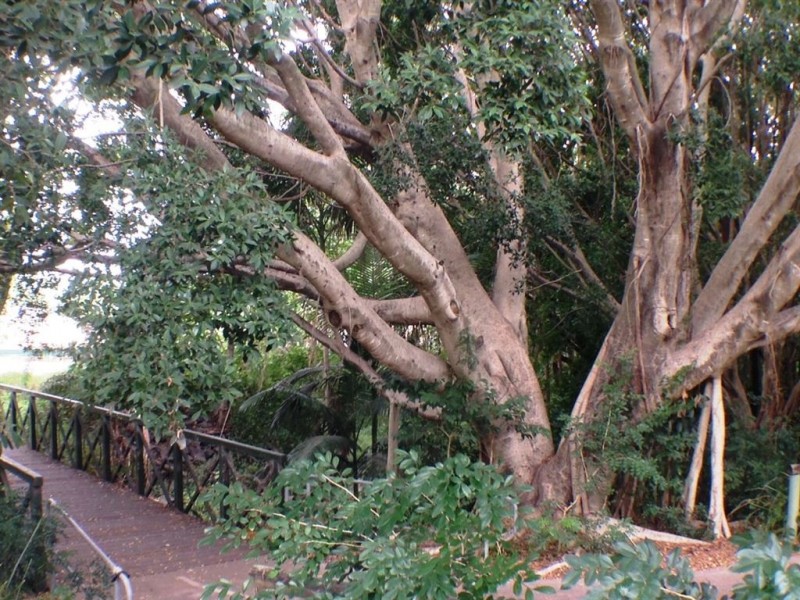 2/40 Nathan Avenue, Ashgrove QLD 4060