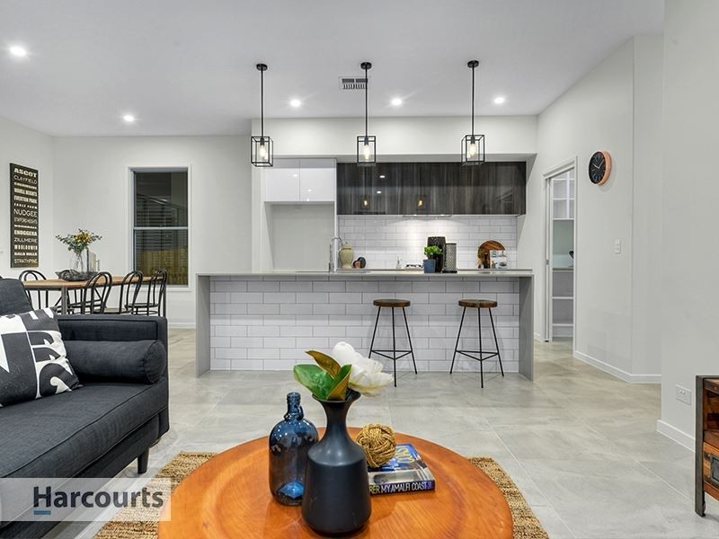 43 Rolleston Street, Keperra QLD 4054