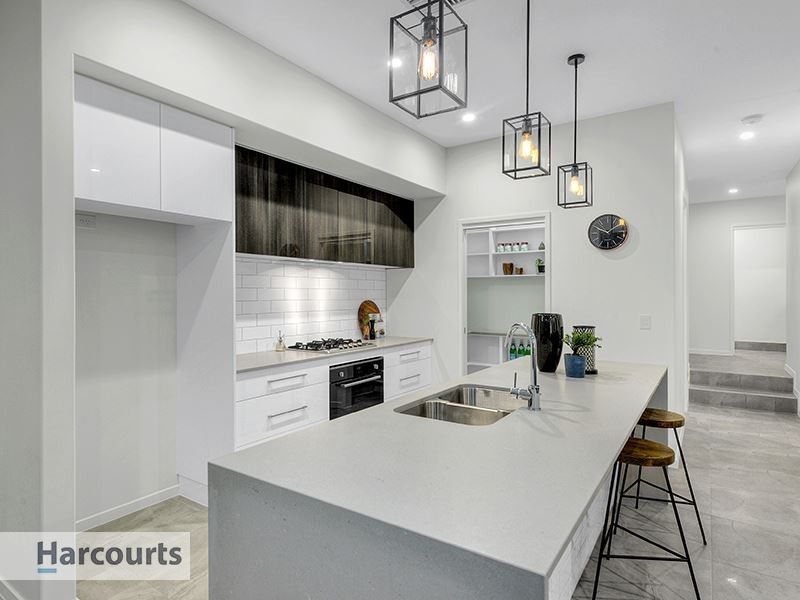 43 Rolleston Street, Keperra QLD 4054