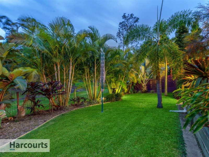 56 Hagman Street, Stafford Heights QLD 4053