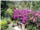62 Doorey St, Keperra QLD 4054