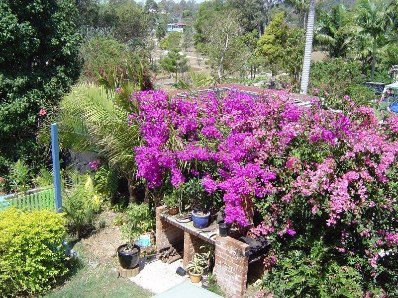 62 Doorey St, Keperra QLD 4054