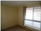 20 Marble Street, Keperra QLD 4054
