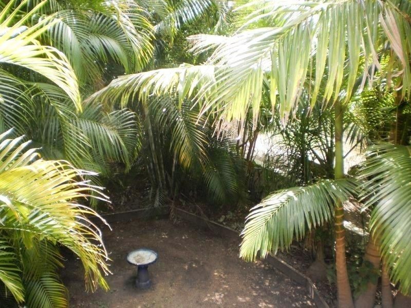 49 Hicks St, Mitchelton QLD 4053