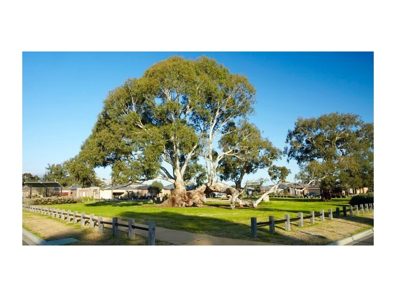 3 Falkirk Drive, Mernda VIC 3754