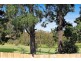42 Moreton Crescent, Bundoora VIC 3083