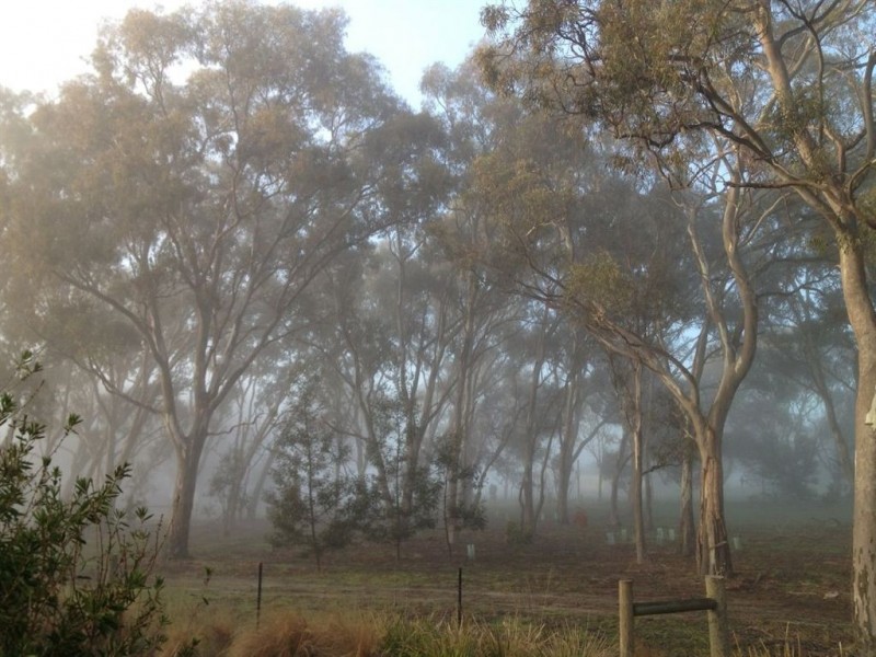 15 Treemont Terrace, Mernda VIC 3754