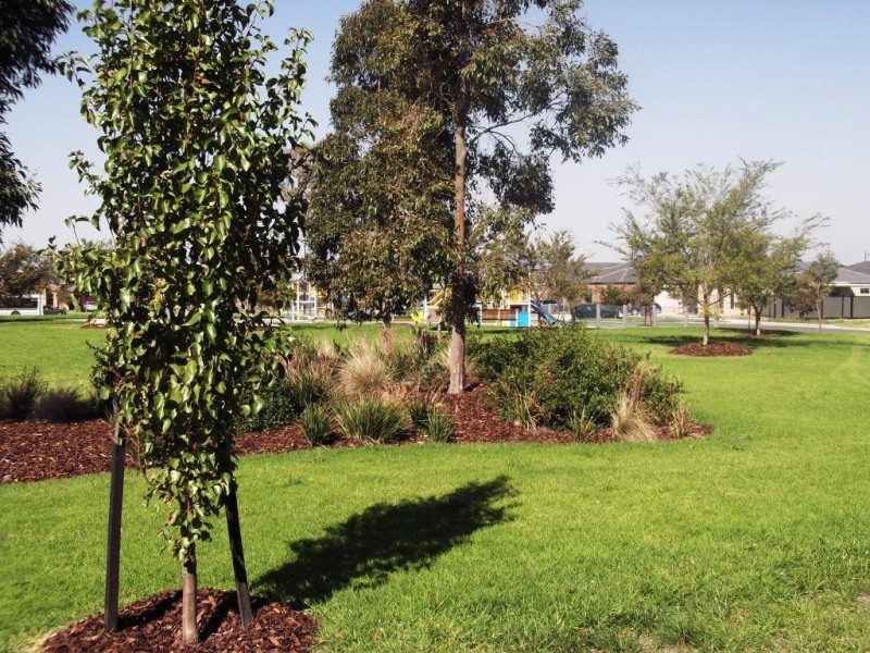 10 Andover Lane, Craigieburn VIC 3064