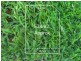 Lot 3525 Monaco Circuit, Epping VIC 3076
