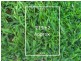 Lot 218 Hollington Drive, Mickleham VIC 3064