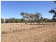 Lot 2 Kiernan Street, Bearii VIC 3641