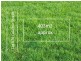 Lot 578 Celadon Street, Epping VIC 3076