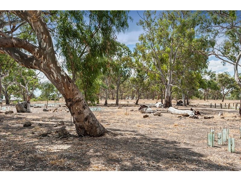 38 Loughton Avenue, Epping VIC 3076