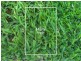 126 Allumba Way, Wollert VIC 3750