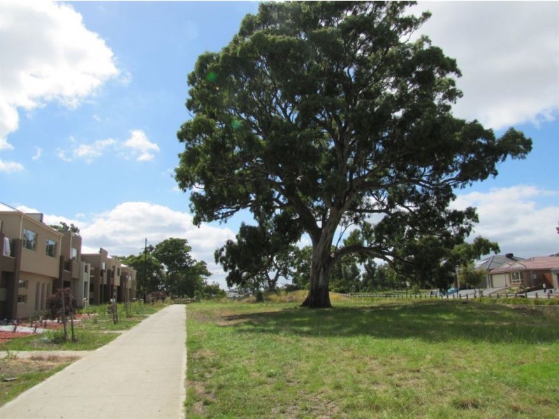 3 Tintern Terrace, South Morang VIC 3752