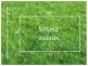 Lot 2750 Moira Way, Epping VIC 3076
