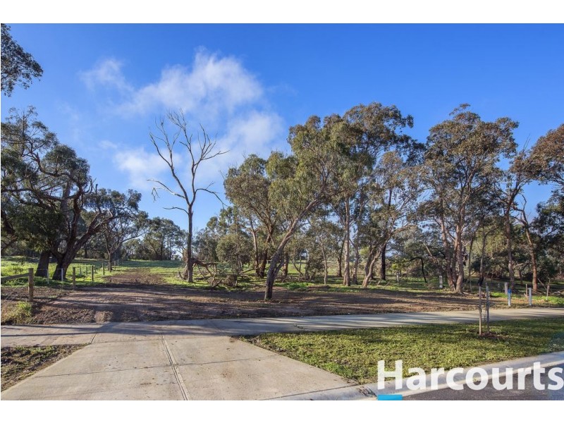 19 Thornbill Drive, Plenty VIC 3090