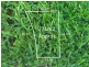 Lot 2023 Warruga Crescent, Wollert VIC 3750