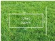 506 Blue Hill Way, Epping VIC 3076