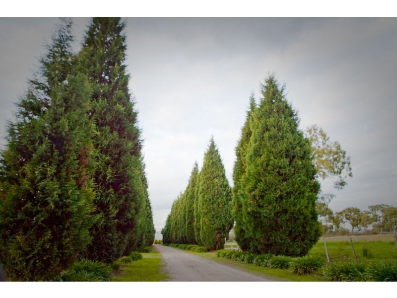 1725 Donnybrook Road, Woodstock VIC 3751