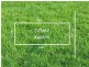 Lot 506 Blue Hill Way, Wollert VIC 3750