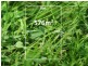 Lot 2779 Draper Crescent, Epping VIC 3076