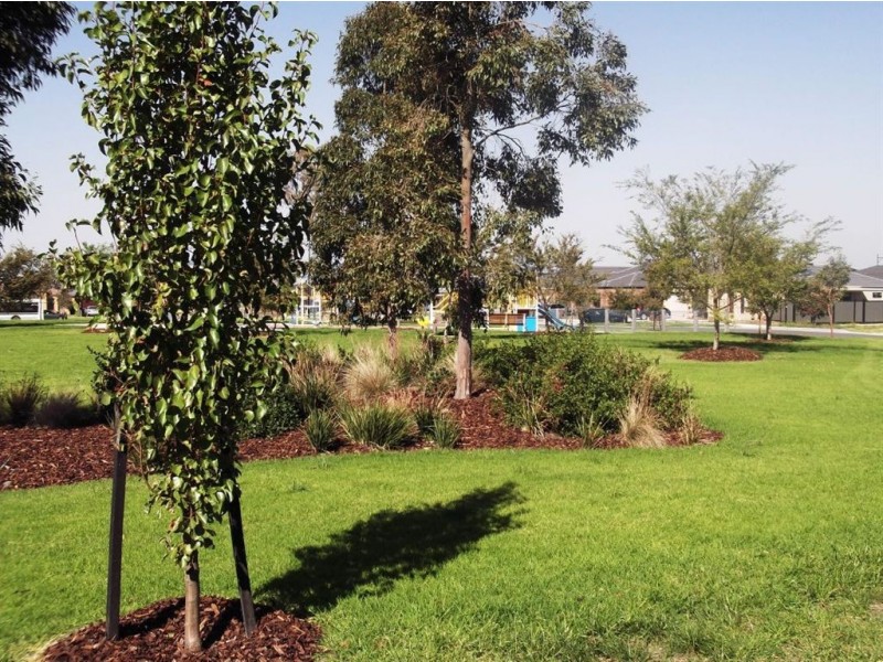 10 Andover Lane, Craigieburn VIC 3064