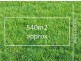 3 Grasswren Rise, South Morang VIC 3752