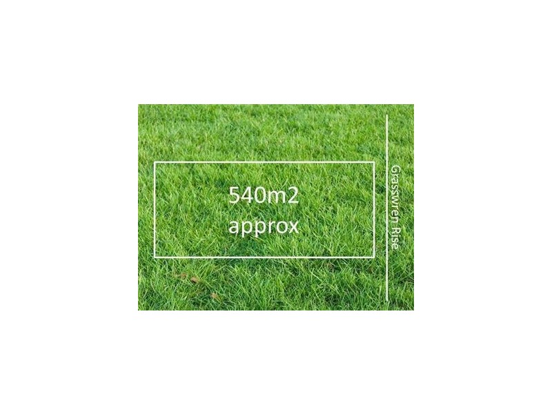 3 Grasswren Rise, South Morang VIC 3752