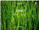 Lot 6 Axebridge Circuit, Epping VIC 3076