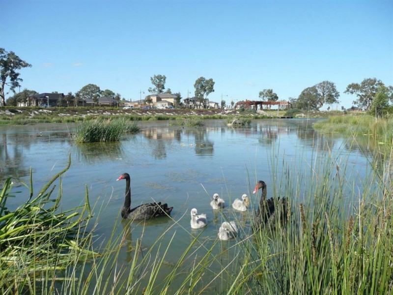 45 Parkwood Road, Mernda VIC 3754