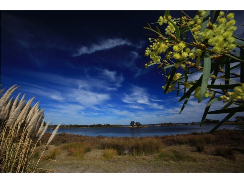 7 William Road, Coodanup WA 6210