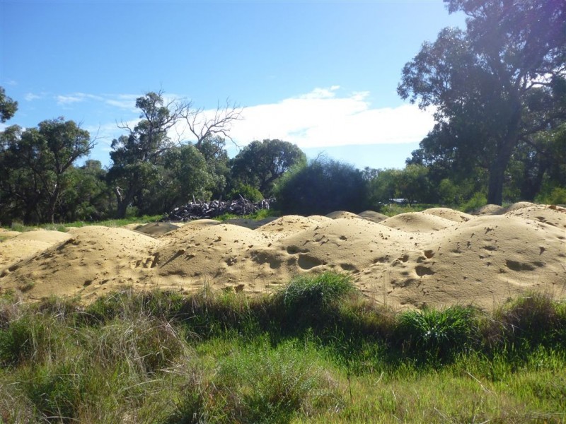 2636 Capel Way, Herron WA 6211