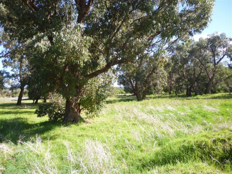 2636 Capel Way, Herron WA 6211