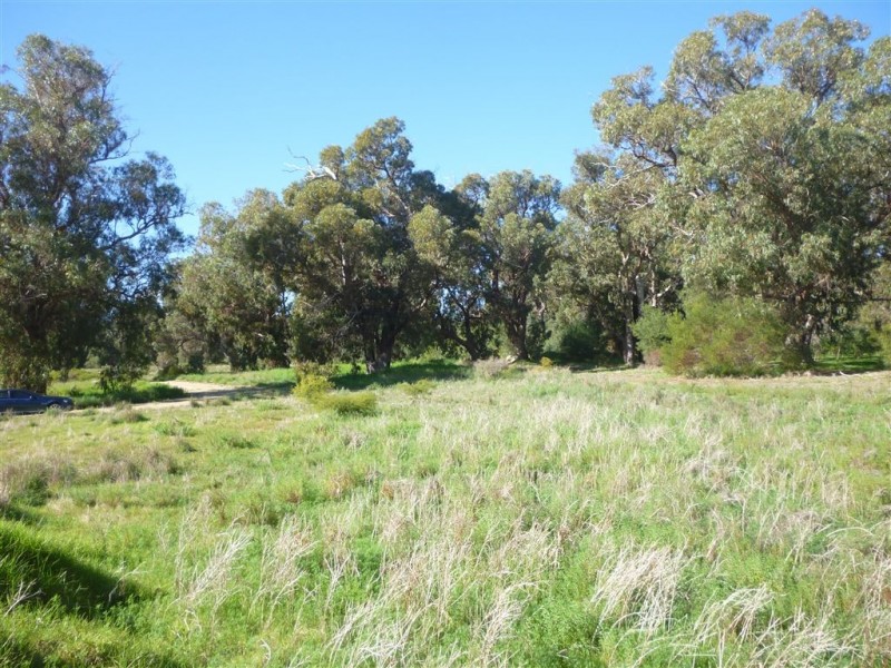 2636 Capel Way, Herron WA 6211