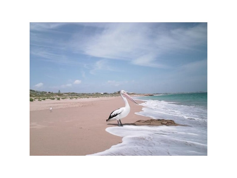 11 Victor Drive, Madora Bay WA 6210